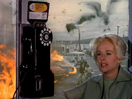 Phonebooth Sanctuary - Tippi Hedren (THE BIRDS)