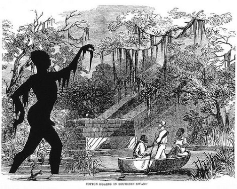 2301367485_91932d10db