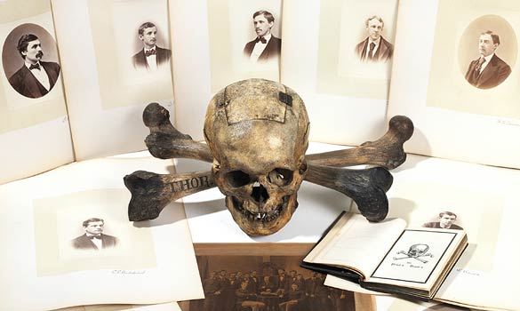 skull-and-bones-ballot-box