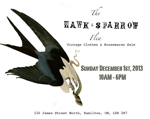 hawk and sparrow flea