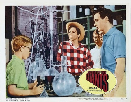 Village of the Giants- 1965- rebel rockabilly classic pop -Vintage Clothing Style Inspirations- The Eye of Faith- 3