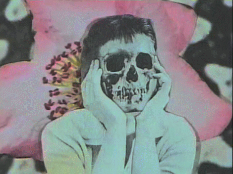 Shock me one last time before I go back to the garden